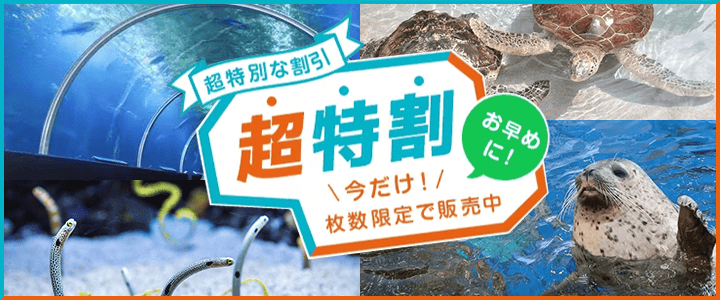 割引チケット・クーポンあり】新江ノ島水族館 [藤沢市/片瀬江ノ島駅